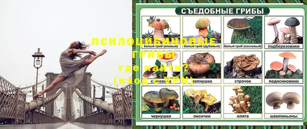 ГАЛЛЮЦИНОГЕННЫЕ ГРИБЫ Мегион