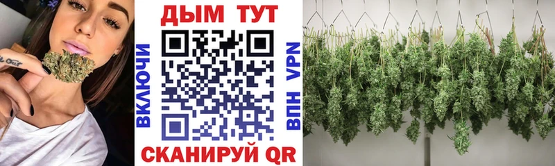 Конопля OG Kush МЕГА ссылка Владимир